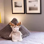 Apartmán Alpensoul