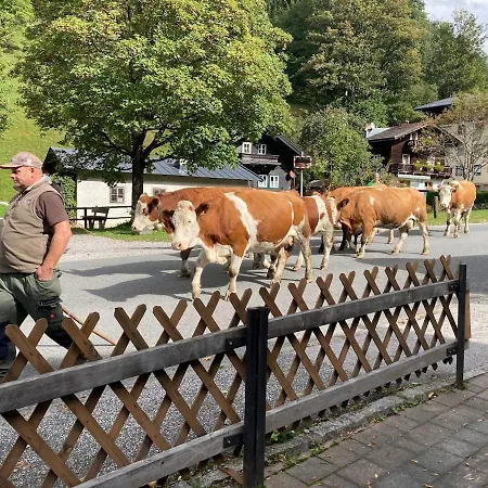 Apartament Alpensoul